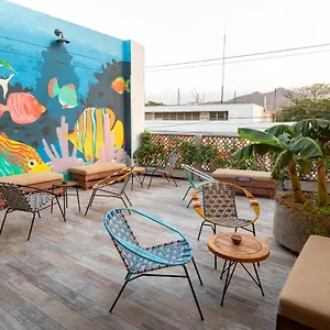 Distrito Hostel אכסניה