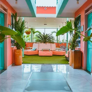 Flamingo & Coworking Santa Marta (Magdalena)